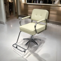 [ECCLIM] DANIEL (2) EC-003 espace de salon idéal de vos rêves (chaises de salon et unités de lavage à contre-courant) produit chaud de haute qualité