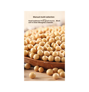 Soja de qualité supérieure pour la production de protéines végétales, vente en gros et distribution internationale - Product Image 2