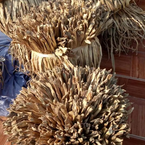 ผู้จัดจำหน่ายผักตบชวาเวียดนาม ผักตบชวาแห้งสำหรับงานฝีมือและของตกแต่งบ้าน 11 ANGLE - Product Image 4