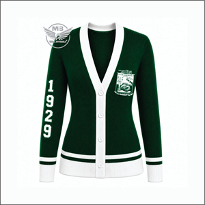 Cardigan pour femme IOTA phi lambda, design personnalisé, vert et blanc, manches longues, logo brodé, style preppy 1929, pull en tricot - Product Image 1