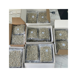 ปลาแอนโชวี่แห้งขายดี วัตถุดิบอาหารทะเลแห้งสะอาด สำหรับทำซุป น้ำซุป และโรยข้าว ขายส่งจำนวนมาก ส่งออก - Product Image 3