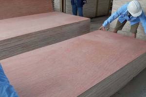 Contrachapado Comercial Moderno con Revestimiento de Madera Dura Mixta (Bintangor/Okume/Pino) y Núcleo de Eucalipto, con Pegamento E2/E1, para Diseño de Apartamentos - Product Image 6