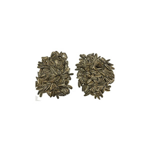 High Grade Sunflower <b>Seeds</b> Vacuum <b>Packed</b> for Export Shipments and Long Duration Storage - Product Image 2