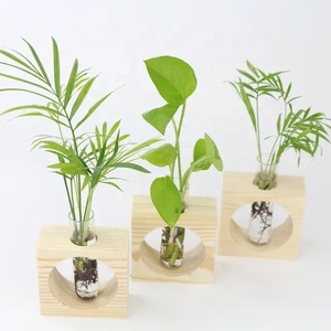 Venta al por mayor de macetas de madera de diseño clásico hecho a mano maceta de madera uso para el hogar Hotel y restaurante producto de Venta caliente - Product Image 6