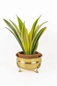 Macetero Metálico Moderno para un Estilo Interior Contemporáneo que Realza la Vegetación Interior con un Atractivo Decorativo Elegante - Product Image 5