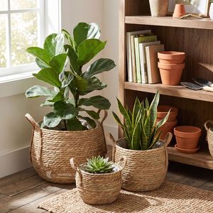 Woven Wicker <b>Plant</b> <b>Basket</b> Set with Handles, Indoor Flower Pot Cover Vietnam Wholesale from Viettimecraft Factory - Product Image 5