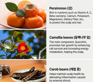 Champú Anticaspa Lactobio, Tratamiento para el Cuero Cabelludo, Equilibrio de Sebo, Limpieza de Poros, Cuidado Hidratante y Nutritivo para el Cabello, Coreano - Product Image 4