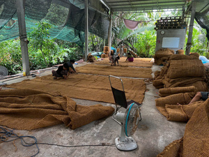 Rouleau de maille en fibre de coco résistant aux UV pour la rétention du sol et la couverture du sol - Product Image 2