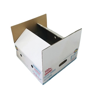Vietnam Wholesale Recycled Materials Customizable Coconut Waterproof 2-Sided UV Coating Food-Safe Carton Box for <b>Packaging</b> - Product Image 5