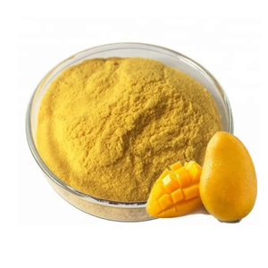 Poudre de mangue lyophilisée Shubhalaxmi, mélange sucré, 0 % d'humidité, durée de conservation de 2 ans, emballage en vrac personnalisé, qualité alimentaire - Product Image 1