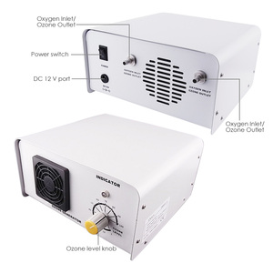 Generador de Ozono por Descarga Corona de 1000 mg/h, Máquina de Ozono Ajustable de 1 g/h para Tratamiento de Agua y Purificación de Aire - Product Image 3