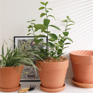 Wholesale Eco-Friendly Terracotta Succulent <b>Flower</b> <b>Pots</b> 2"-10'' Inch Home Garden Decor - Product Image 2