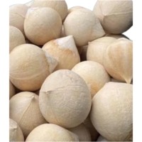 EXPORTSTANDAARD Premium Gehele Verse Gepelde Jonge Kokosnoot 750g 800g Ben Tre Vietnam Kwaliteit Gezond Natuurlijk Tropisch Drankje