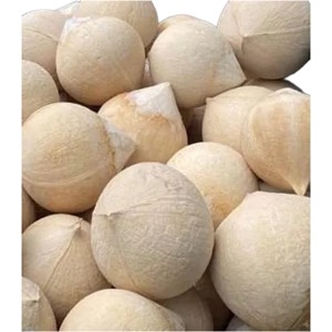 EXPORT STANDARD Premium Whole <b>FRESH</b> PEELED Shell Young <b>Coconut</b> 750g 800g Ben Tre Vietnam Quality Healthy Natural Tropical Drink - Product Image 1