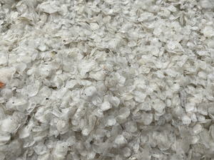 เครื่องชั่งปลาแห้งที่ไม่มีแคลเซียมและเกล็ดปลาแห้ง - Product Image 6