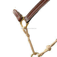 Nouveauté : Halte pour cheval en cuir et sangle en nylon, design hybride, avec ferrures en laiton robustes, tailles personnalisées disponibles