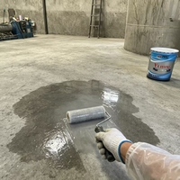 Lot de deux apprêtants époxydiques économiques, apprêtants anti-alcalins pour murs en béton, apprêtants époxydiques bicomposants