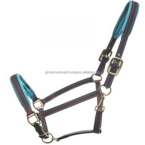 Licol de cheval rembourré doux et coloré, produit d'équitation confortable, réglable, collier de tête, avec boucle et anneaux en laiton massif - Product Image 1