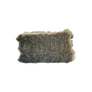 หญ้าโรดส์ธรรมชาติ เหมาะสำหรับวัว ม้า แกะ และโภชนาการสัตว์ปศุสัตว์ - Product Image 1