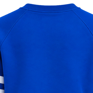 Sweat-shirt imprimé Sigma Gamma Rho pour femme, pull molletonné à col rond personnalisé pour sororité grecque, style universitaire décontracté, streetwear, vente en gros - Product Image 4