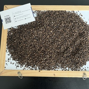 Pimienta de calidad media especias para MED ASIA de Vilaconic Pepper Factory - Product Image 3