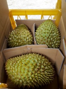 Precio barato Los más vendidos Iqf Standards Frozen Durian Premium Export Grade Durian - Product Image 6