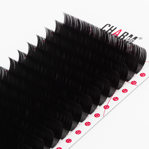Charmlash <b>Individual</b> <b>Lashes</b> Wholesale Premium Silk <b>Lash</b> Extension Trays Bulk Eyelash Extensions High-end Pbt Super Dense - Product Image 1