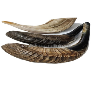 Instrumento musical tradicional Shofar de cuerno de Carnero Negro natural pulido con estilo náutico y animal - Product Image 6
