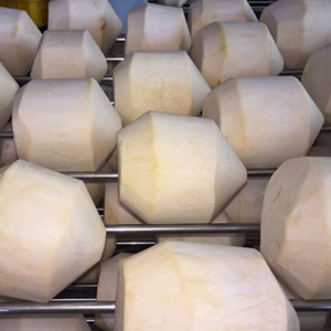 Venta al por Mayor de Pulpa de Coco Joven Semidescascarillada Premium, Alta Dulzura, Empaque para Exportación a Granel - Product Image 2