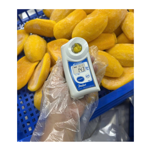 Pulpa de Mango Congelada, Pasa Fina por la Malla, Puré, Ingrediente para Repostería y Salsas - Product Image 6
