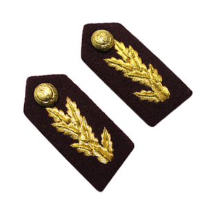 Gorgetas de Hombro de Diseño Personalizado al por Mayor, Servicio OEM, Gorgetas de Uniforme de Defensa en Stock - Product Image 4