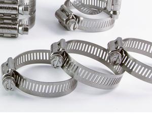 Vente directe usine – Colliers de serrage hydrauliques à boulon en T en acier inoxydable 304 de 17-32 mm, haute pression, personnalisés, Evereon, pour l'exportation - Product Image 4