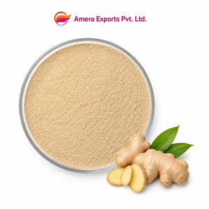 Servicio de Fabricación a Granel de Cápsulas de Extracto Botánico de Raíz de Jengibre - Product Image 1