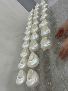 Copa de concha marina Vietnam Concha natural Copa de vino decorativa 18- 20cm de altura, 8- 10cm Shell, 150 - 250ml Volumen Restaurante Resort - Product Image 6