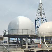 3000m3 Membrane de stockage de biogaz Support de dôme de gaz Usine de biogaz pour équipement anaérobie