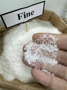 Coco Deshidratado Vietnamita de Alto Contenido de Grasa, Grado Fino, Polvo de Coco Natural para Ingredientes de Panadería, Procesamiento de Alimentos, Suministro a Granel - Product Image 3