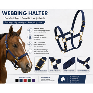 Ensemble de sangle de selle anglaise personnalisée de qualité supérieure avec harnais et sangle réglable pour l'équitation - Product Image 1