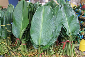 Gâteau enveloppé de feuilles de Dong, pour les fêtes du Tet vietnamien, emballage alimentaire OEM, processus de congélation IQF, culture sans OGM, origine vietnamienne - Product Image 2