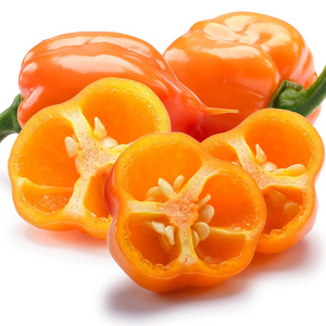 Chiles Habaneros Frescos Crudos de la Mejor Calidad a Precio de Fábrica - 11 kg, Colores Rojo/Verde/Amarillo, 12 Meses de Duración - Product Image 3