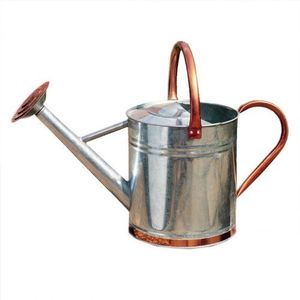 Arrosoir en métal de style moderne pour le jardinage domestique, bec long, poignée ergonomique, versement équilibré, corps résistant à la rouille - Product Image 1