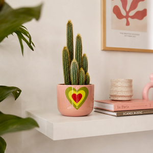Maceta de Terracota con Diseño de Corazón Rosa Pálido, Hecha a Mano, Decorativa, con Orificio de Drenaje para Plantas de Interior, Sala de Estar - Product Image 3