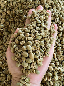 Organic Robusta Green Coffee <b>Beans</b> Vietnam Size 18 USDA Certified Grade A+ ISO 22000 Certified 1000kg Bags Only 0.1% Black - Product Image 5