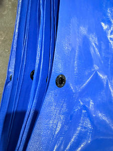 Lona de Polietileno Impermeable, Lámina de Plástico Resistente, Protección UV, para Uso Industrial en Exteriores, Precio de Fábrica - Product Image 4