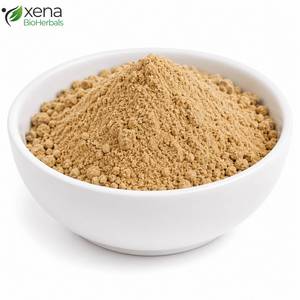 Fournisseur professionnel d'extraits végétaux : Poudre d'extrait de graines de Mucuna Pruriens, ingrédient botanique de qualité supérieure pour compléments de bien-être - Product Image 1