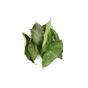 Premium Dried Graviola Leaves for Beverage Industry - Product Image 3