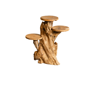 ARTERRA Support de Présentation en Bois Massif Artisanal Rustique en Racine de Teck Bio de Qualité Supérieure pour Décoration Intérieure/Extérieure pour Diwali - Product Image 1