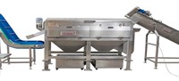 Éplucheuse de pommes de terre - Capacité de 1000 kg/h