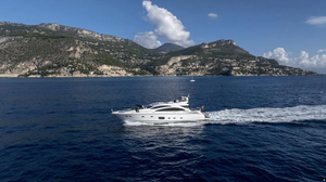 S-u-n-s-e-e-k-e-r P-r-e-d-a-t-o-r 84 - Product Image 3