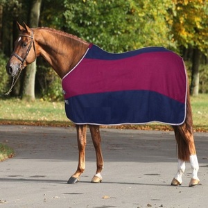 Manta Impermeable de Poliéster para Caballos con Diseño de Rayas, para Entrenamiento y Uso en Exteriores, Fabricada en Kanpur, India - Product Image 4