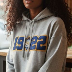 Sudadera con Capucha Gris SGR Sigma Gamma Rho 1922 para Mujer, Sudadera de Forro Polar con Letras Griegas, Talla LG SP26 Personalizada - Product Image 1